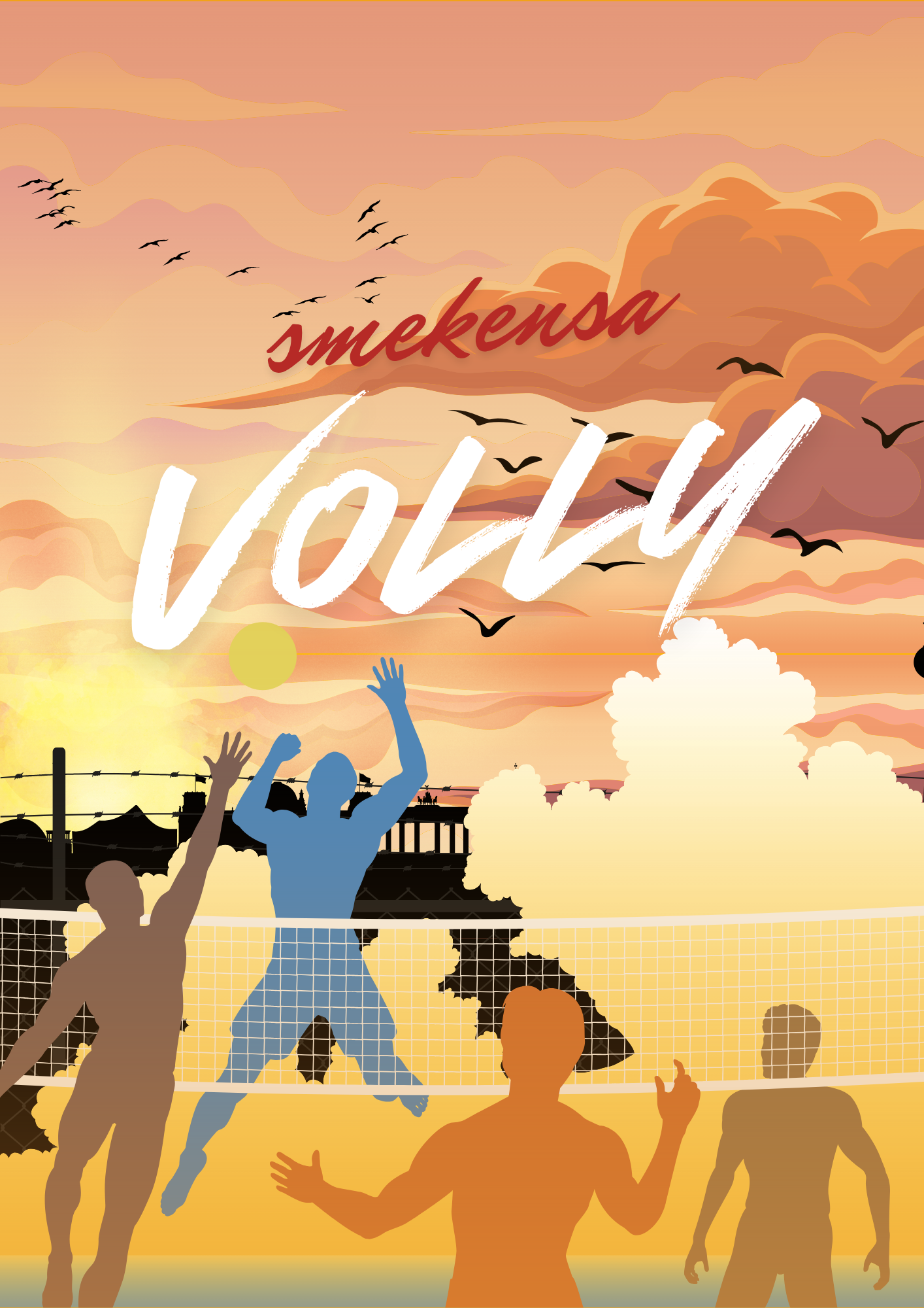 Volly